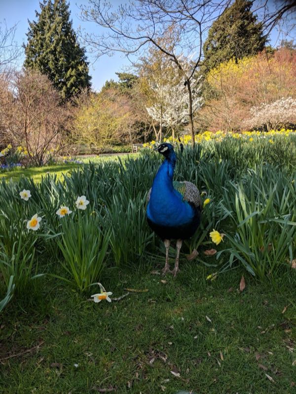 The Birmingham Botanical Gardens photo 1