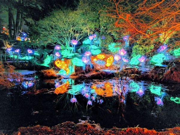 The Birmingham Botanical Gardens photo 2