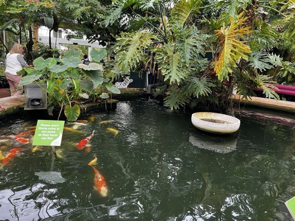 The Birmingham Botanical Gardens photo 4