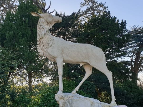 Old Down Estate photo 3