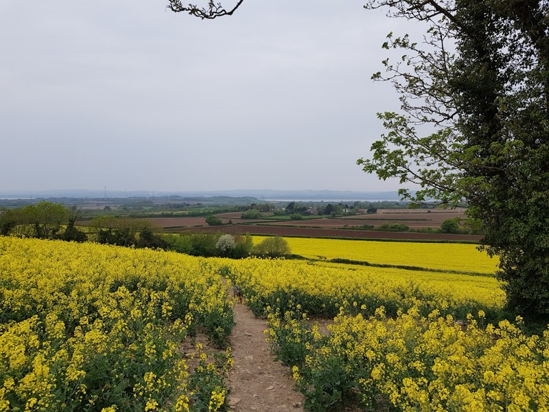 Old Down Estate photo 4