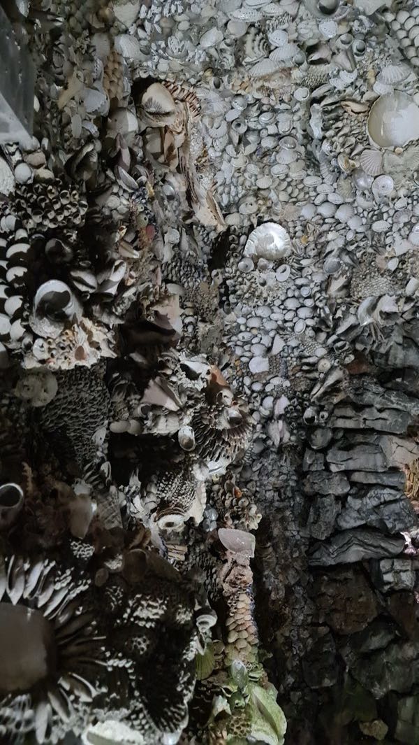 The Orangery photo 4