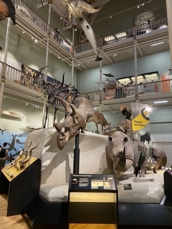 National Museums Scotland - Hospitality and Events photo 4