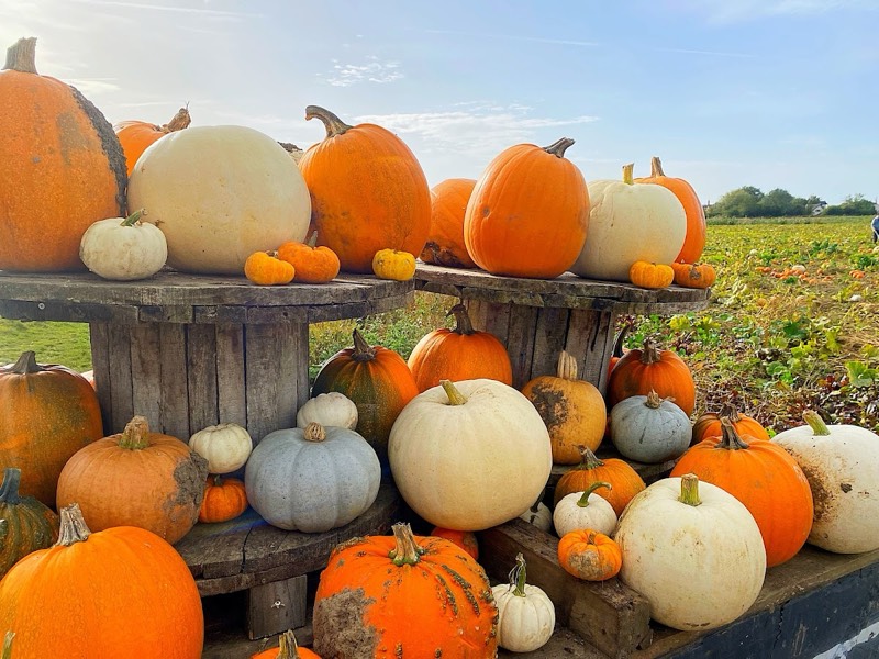 Bert's Barrow photo 1