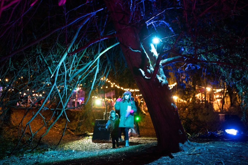 This Green Moon photo 4