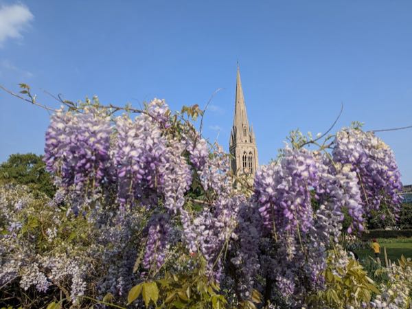 Clissold House photo 2