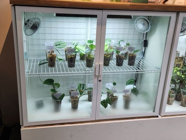 Garden Museum Venue Hire photo 3