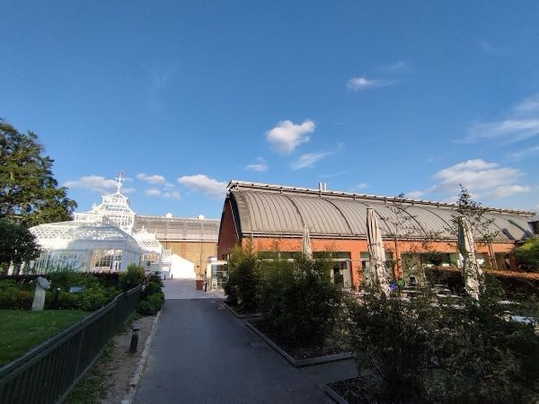 The Conservatory at Horniman Museum and Gardens photo 2