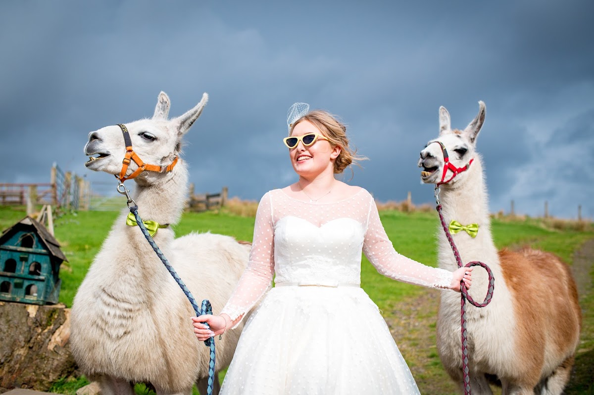 The Wellbeing Farm photo 1